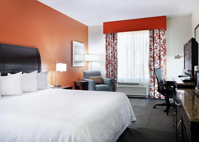 Hotel Hilton Garden Springfield, Il 3*
