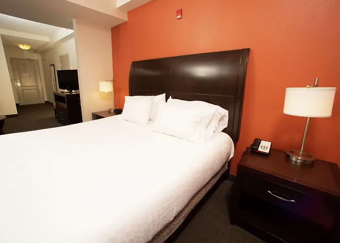 Hotel Hilton Garden Springfield, Il