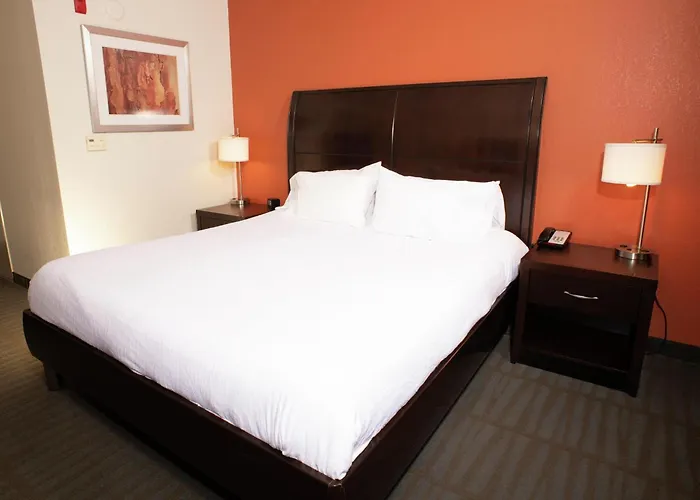 Hilton Garden Springfield, Il Hotel Springfield