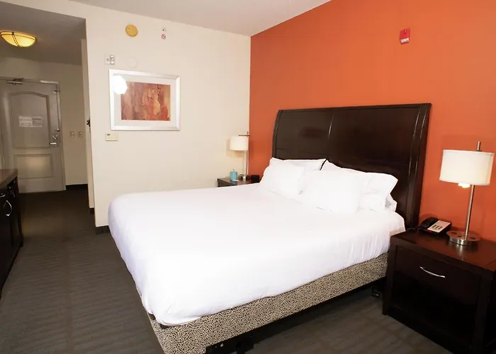 Hotel Hilton Garden Springfield, Il Springfield